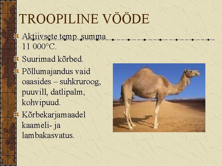TROOPILINE VÖÖDE Aktiivsete temp. summa 11 000°C. Suurimad kõrbed. Põllumajandus vaid oaasides – suhkruroog,
