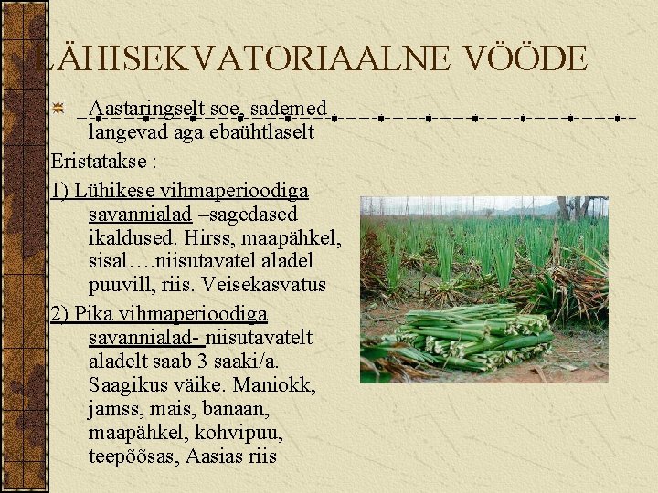 LÄHISEKVATORIAALNE VÖÖDE Aastaringselt soe, sademed langevad aga ebaühtlaselt Eristatakse : 1) Lühikese vihmaperioodiga savannialad