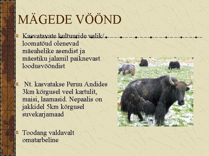 MÄGEDE VÖÖND Kasvatavate kultuuride valik/ loomatõud olenevad mäeahelike asendist ja mäestiku jalamil paiknevast loodusvööndist