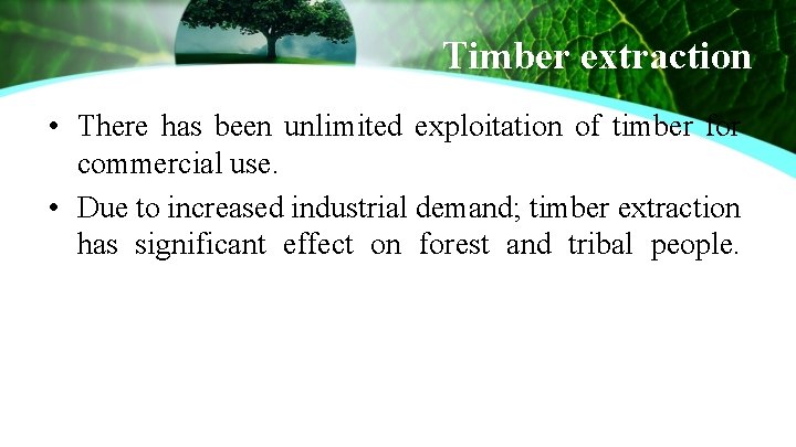 Timber extraction • There has been unlimited exploitation of timber for commercial use. •