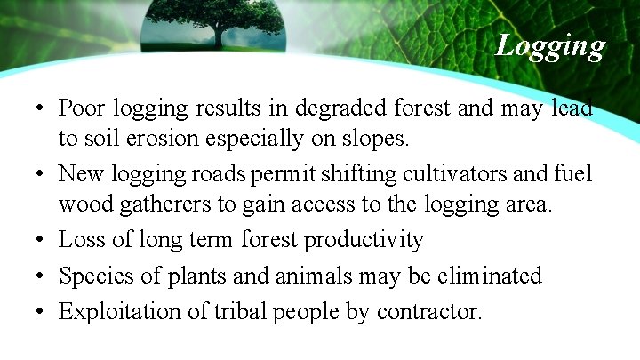 Logging • Poor logging results in degraded forest and may lead to soil erosion