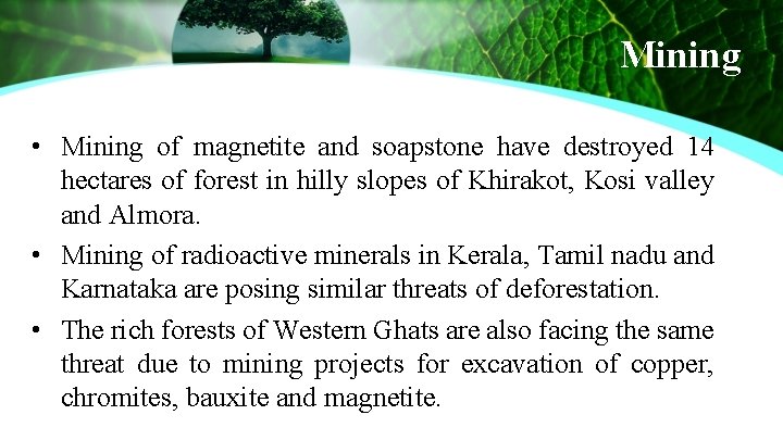 Mining • Mining of magnetite and soapstone have destroyed 14 hectares of forest in