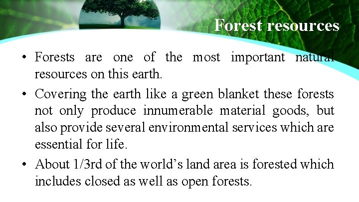 Forest resources • Forests are one of the most important natural resources on this