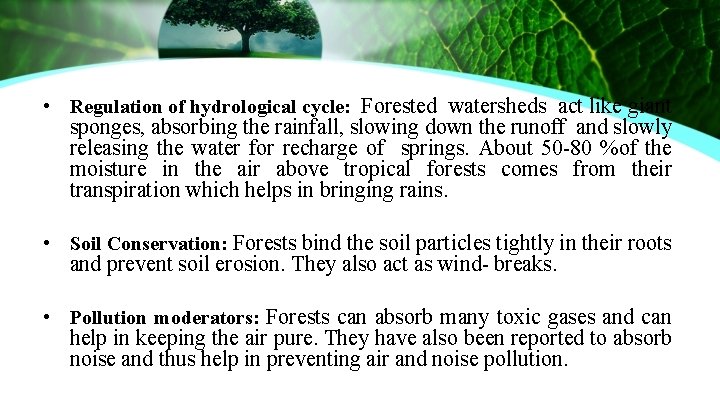  • Regulation of hydrological cycle: Forested watersheds act like giant sponges, absorbing the