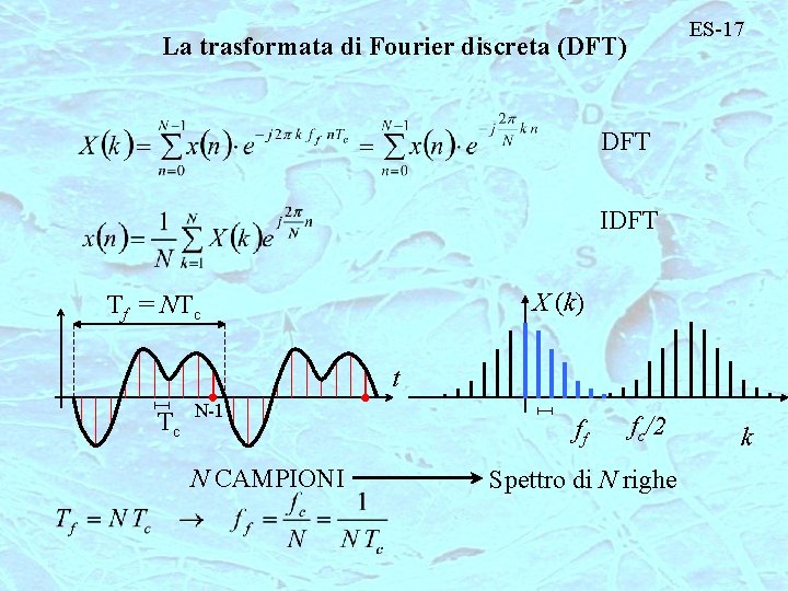 ES-17 La trasformata di Fourier discreta (DFT) DFT IDFT X (k) Tf = NTc
