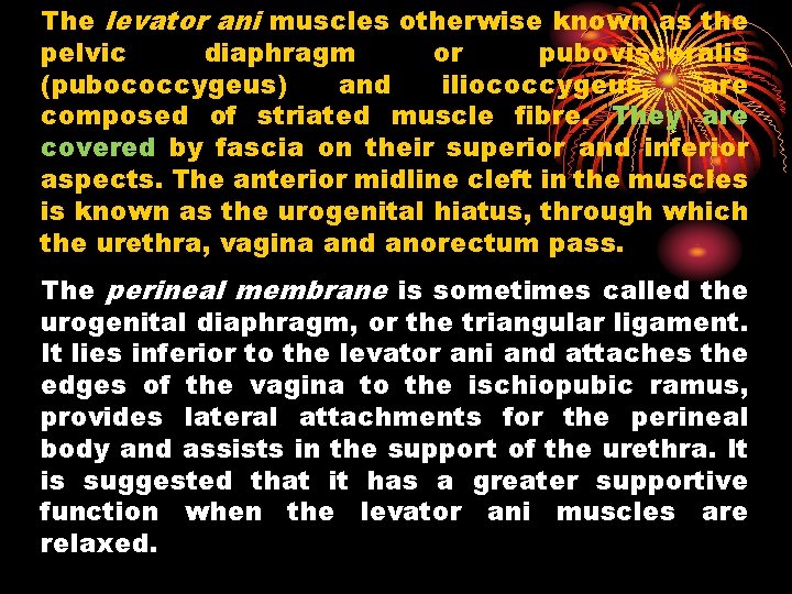 The levator ani muscles otherwise known as the pelvic diaphragm or pubovisceralis (pubococcygeus) and