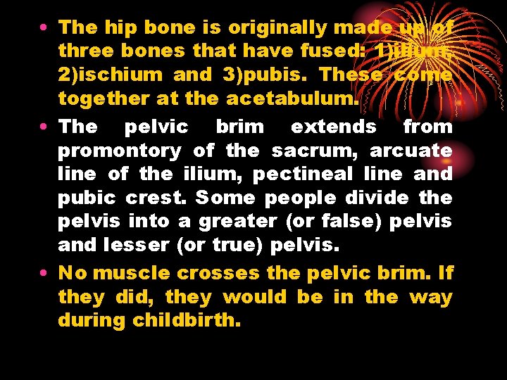  • The hip bone is originally made up of three bones that have