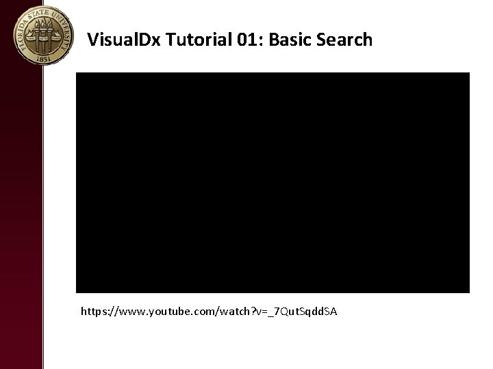 Visual. Dx Tutorial 01: Basic Search https: //www. youtube. com/watch? v=_7 Qut. Sqdd. SA