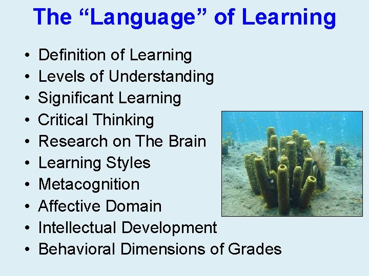 The “Language” of Learning • • • Definition of Learning Levels of Understanding Significant