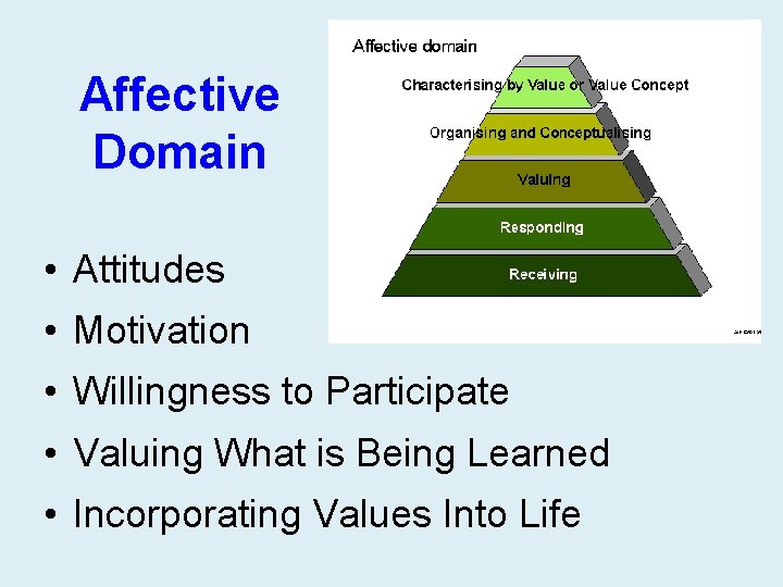 Affective Domain • Attitudes • Motivation • Willingness to Participate • Valuing What is