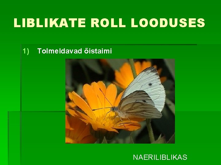 LIBLIKATE ROLL LOODUSES 1) Tolmeldavad õistaimi NAERILIBLIKAS 