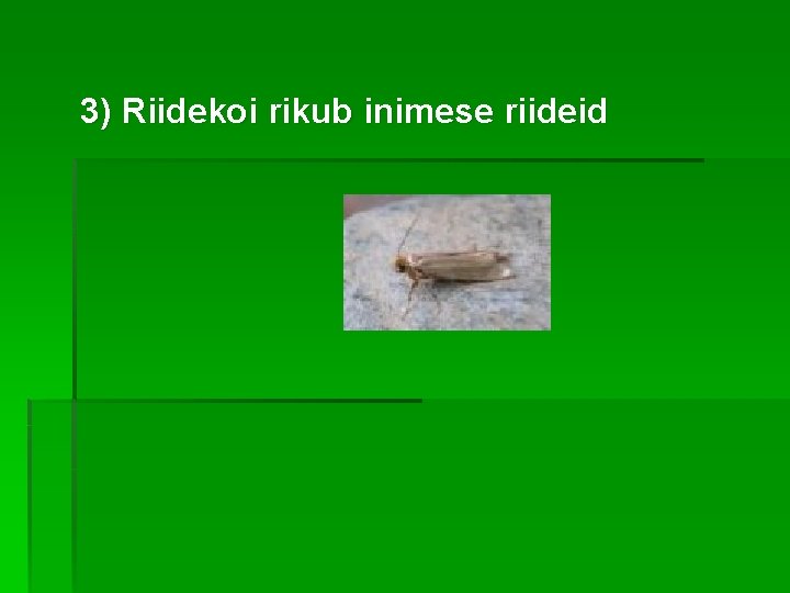 3) Riidekoi rikub inimese riideid 