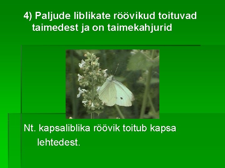 4) Paljude liblikate röövikud toituvad taimedest ja on taimekahjurid Nt. kapsaliblika röövik toitub kapsa