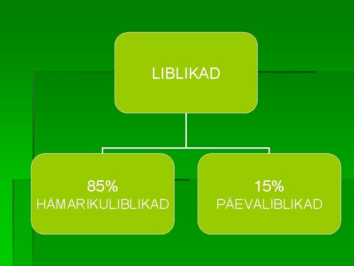 LIBLIKAD 85% 15% HÄMARIKULIBLIKAD PÄEVALIBLIKAD 