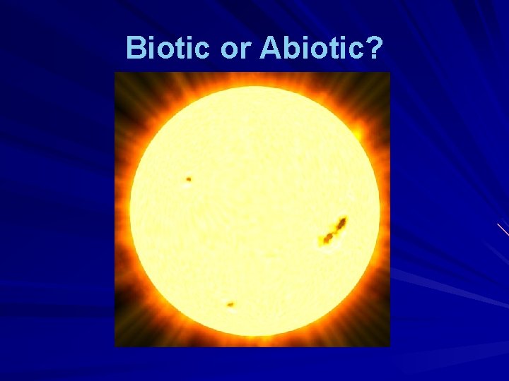 Biotic or Abiotic? 