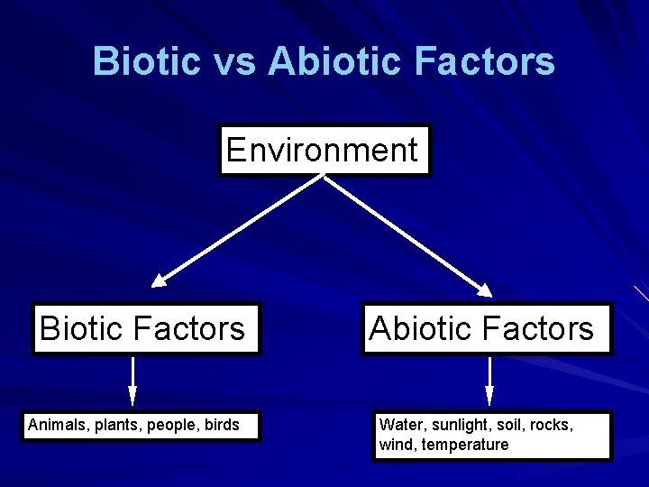 Biotic vs Abiotic Factors Environment Biotic Factors Animals, plants, people, birds Abiotic Factors Water,