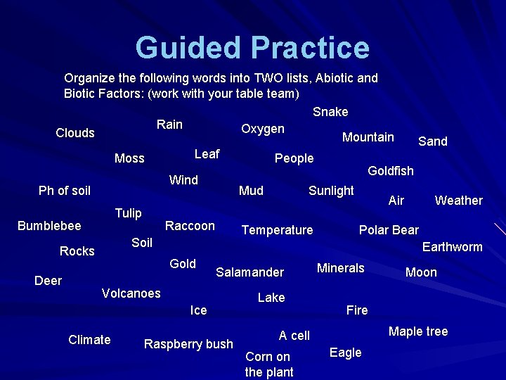 Guided Practice Organize the following words into TWO lists, Abiotic and Biotic Factors: (work