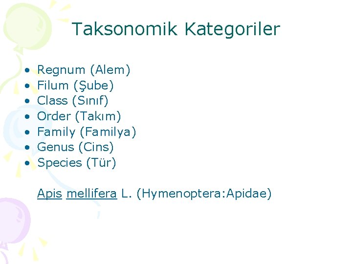 Taksonomik Kategoriler • • Regnum (Alem) Filum (Şube) Class (Sınıf) Order (Takım) Family (Familya)