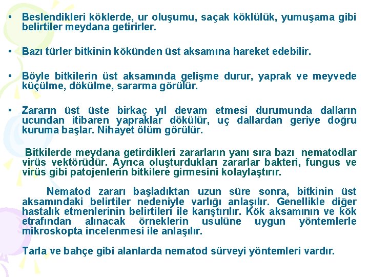  • Beslendikleri köklerde, ur oluşumu, saçak köklülük, yumuşama gibi belirtiler meydana getirirler. •