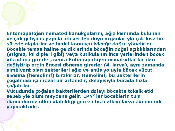 Entomopatojen nematod konukçularını, ağız kısmında bulunan ve çok gelişmiş papilla adı verilen duyu organlarıyla