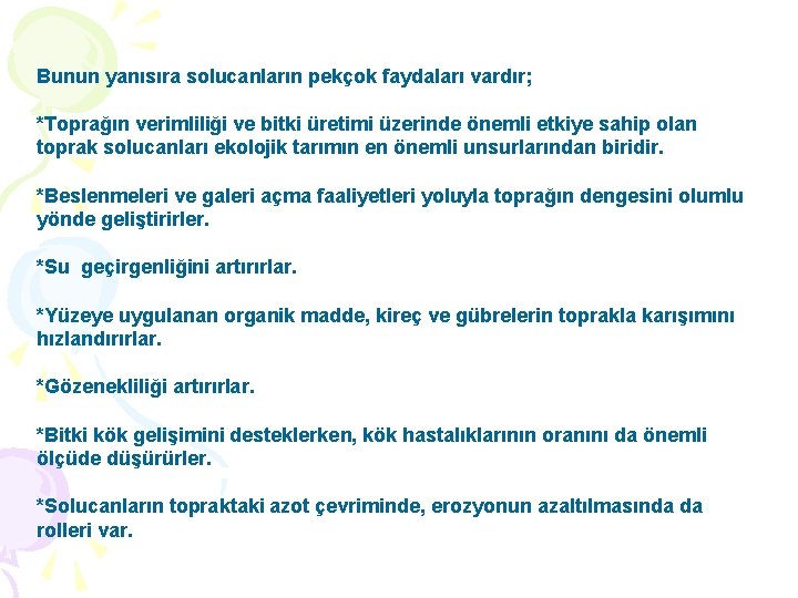 Bunun yanısıra solucanların pekçok faydaları vardır; *Toprağın verimliliği ve bitki üretimi üzerinde önemli etkiye