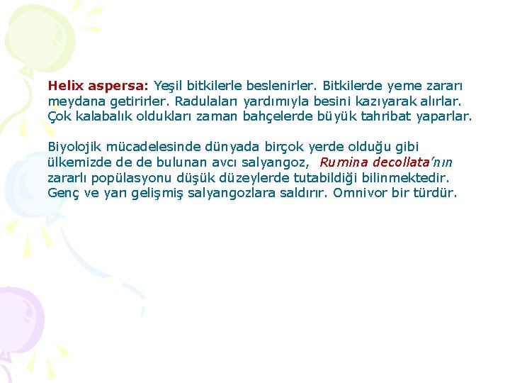 Helix aspersa: Yeşil bitkilerle beslenirler. Bitkilerde yeme zararı meydana getirirler. Radulaları yardımıyla besini kazıyarak