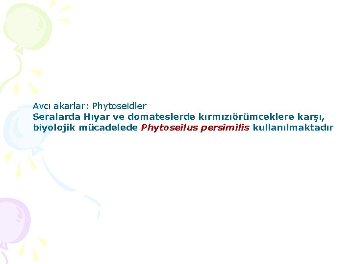 Avcı akarlar: Phytoseidler Seralarda Hıyar ve domateslerde kırmızıörümceklere karşı, biyolojik mücadelede Phytoseilus persimilis kullanılmaktadır