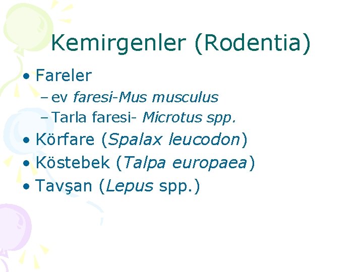 Kemirgenler (Rodentia) • Fareler – ev faresi-Mus musculus – Tarla faresi- Microtus spp. •