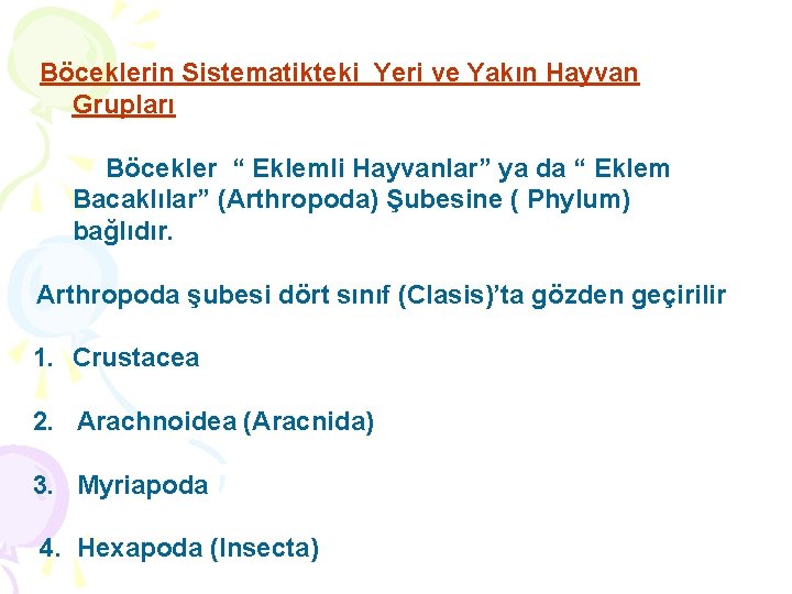 Böceklerin Sistematikteki Yeri ve Yakın Hayvan Grupları Böcekler “ Eklemli Hayvanlar” ya da “