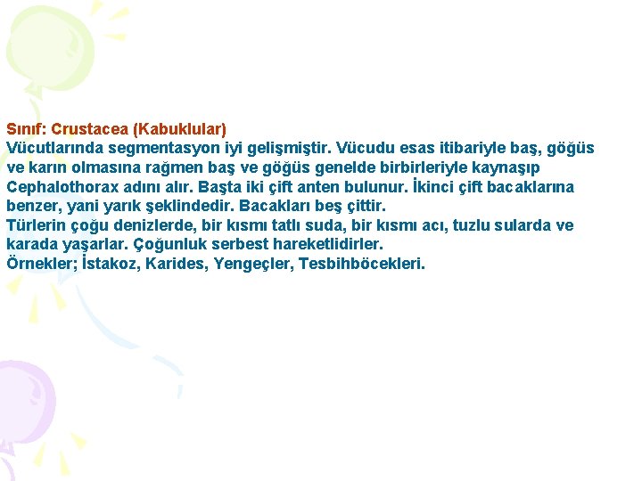 Sınıf: Crustacea (Kabuklular) Vücutlarında segmentasyon iyi gelişmiştir. Vücudu esas itibariyle baş, göğüs ve karın