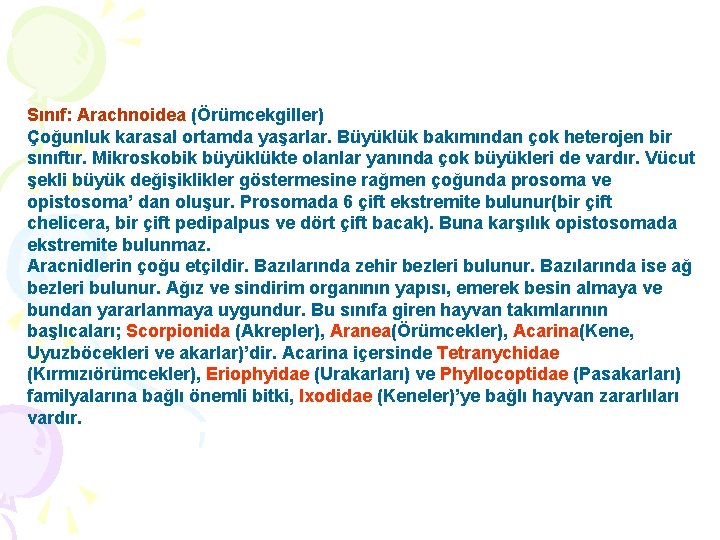 Sınıf: Arachnoidea (Örümcekgiller) Çoğunluk karasal ortamda yaşarlar. Büyüklük bakımından çok heterojen bir sınıftır. Mikroskobik