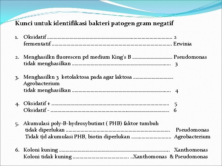 Kunci untuk identifikasi bakteri patogen gram negatif 1. Oksidatif …………………………………………. 2 fermentatif ……………………………………… Erwinia