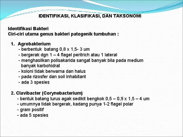 IDENTIFIKASI, KLASIFIKASI, DAN TAKSONOMI Identifikasi Bakteri Ciri-ciri utama genus bakteri patogenik tumbuhan : 1.