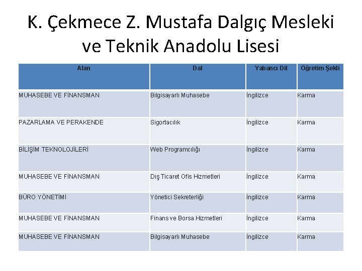 K. Çekmece Z. Mustafa Dalgıç Mesleki ve Teknik Anadolu Lisesi Alan Dal Yabancı Dil