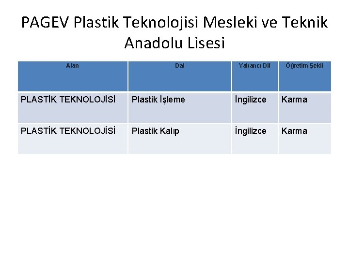 PAGEV Plastik Teknolojisi Mesleki ve Teknik Anadolu Lisesi Alan Dal Yabancı Dil Öğretim Şekli