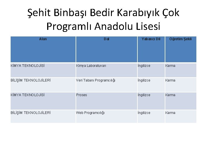 Şehit Binbaşı Bedir Karabıyık Çok Programlı Anadolu Lisesi Alan Dal Yabancı Dil Öğretim Şekli