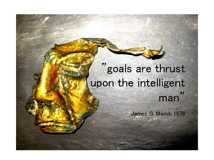 ”goals are thrust upon the intelligent man” James G. March 1976 