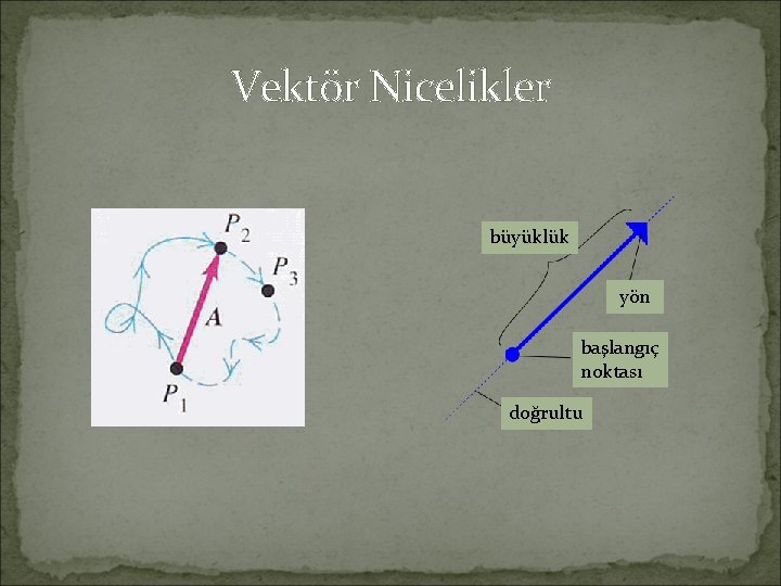 Vektör Nicelikler büyüklük yön başlangıç noktası doğrultu 