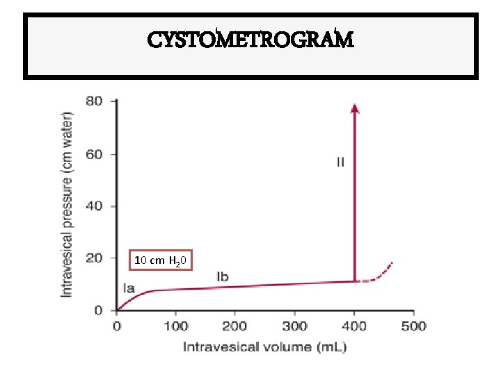 CYSTOMETROGRAM 10 cm H 20 