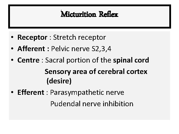 Micturition Reflex • Receptor : Stretch receptor • Afferent : Pelvic nerve S 2,