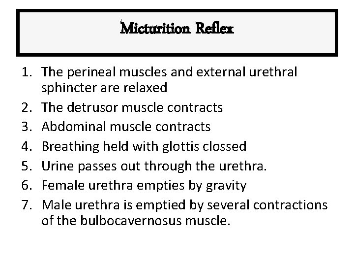 Micturition Reflex 1. The perineal muscles and external urethral sphincter are relaxed 2. The