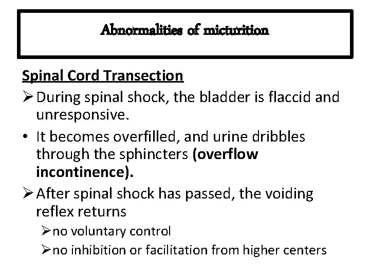 Abnormalities of micturition Spinal Cord Transection Ø During spinal shock, the bladder is flaccid