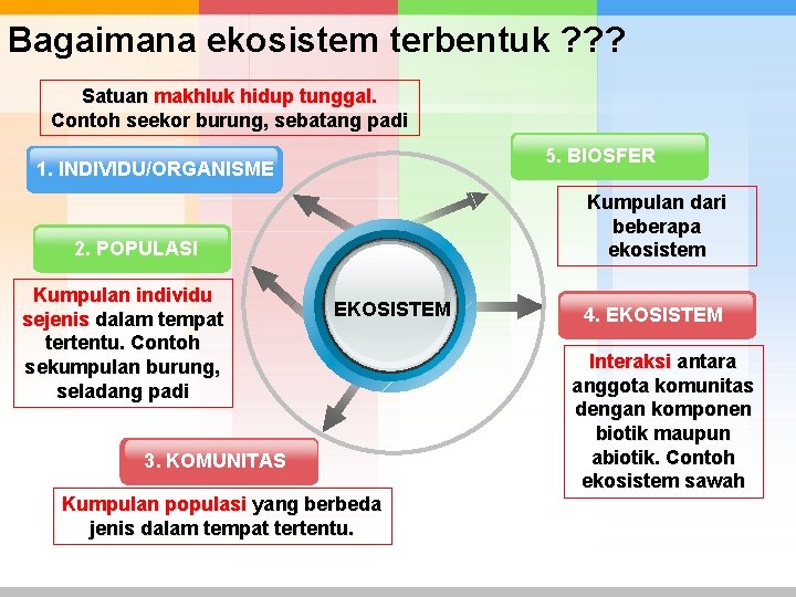 Bagaimana ekosistem terbentuk ? ? ? Satuan makhluk hidup tunggal. Contoh seekor burung, sebatang