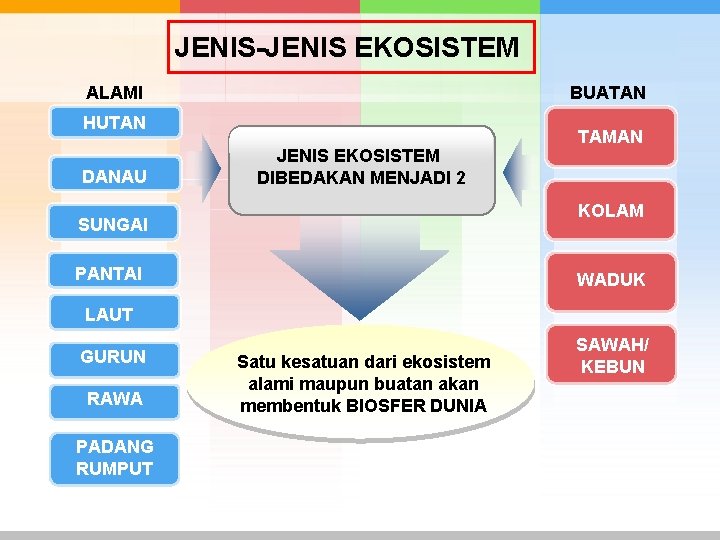 JENIS-JENIS EKOSISTEM ALAMI BUATAN HUTAN DANAU JENIS EKOSISTEM DIBEDAKAN MENJADI 2 TAMAN KOLAM SUNGAI