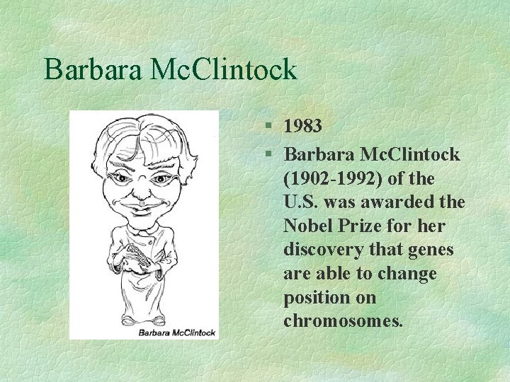 Barbara Mc. Clintock § 1983 § Barbara Mc. Clintock (1902 -1992) of the U.