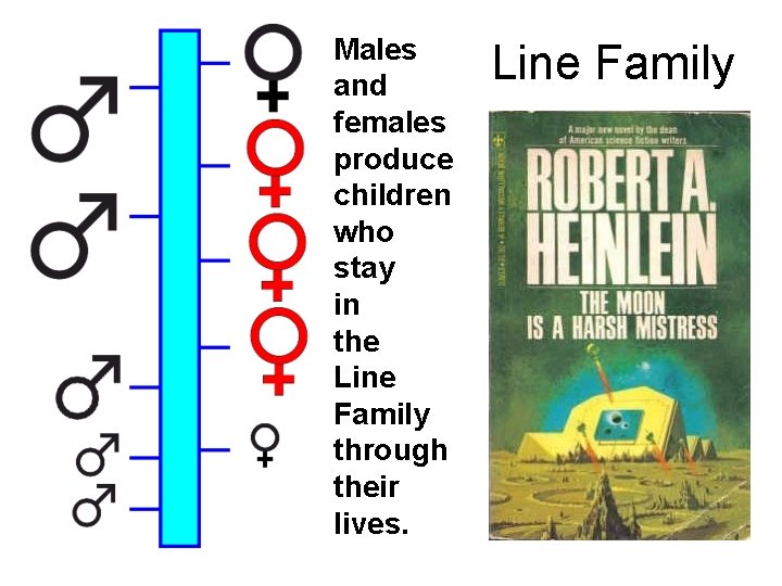 Males and females produce children who stay in the Line Family through their lives.