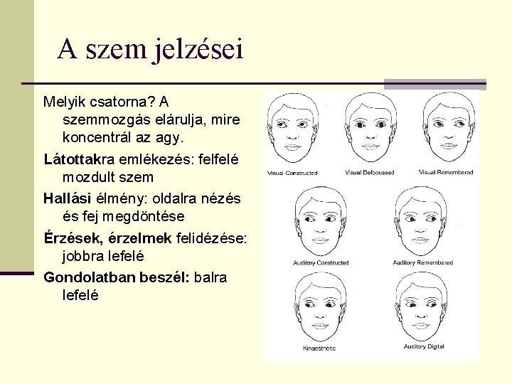 A szem jelzései Melyik csatorna? A szemmozgás elárulja, mire koncentrál az agy. Látottakra emlékezés: