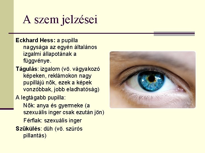 A szem jelzései Eckhard Hess: a pupilla nagysága az egyén általános izgalmi állapotának a