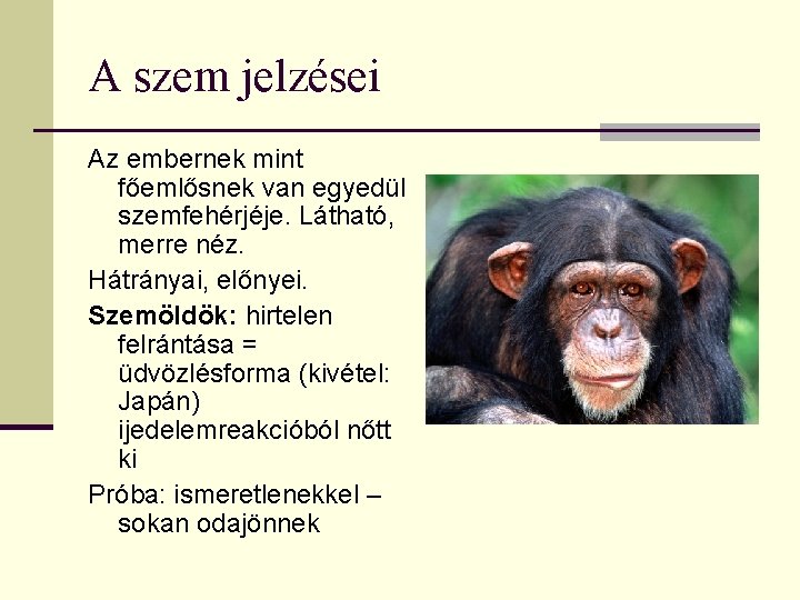 A szem jelzései Az embernek mint főemlősnek van egyedül szemfehérjéje. Látható, merre néz. Hátrányai,