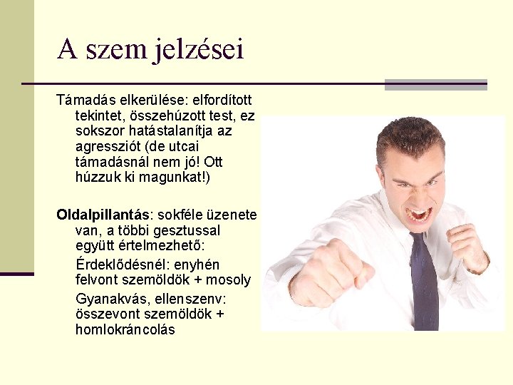 A szem jelzései Támadás elkerülése: elfordított tekintet, összehúzott test, ez sokszor hatástalanítja az agressziót